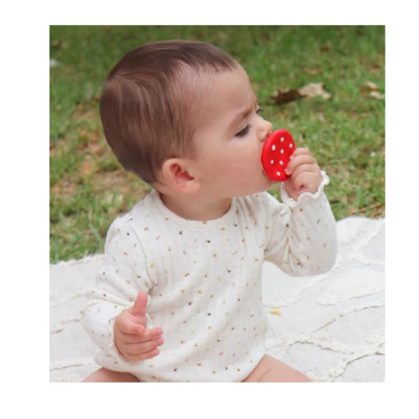 oli  carol SPOTTY THE MUSHROOM 2