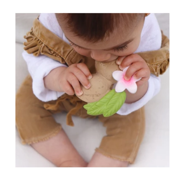 oli  carol ALY THE ALMOND 2