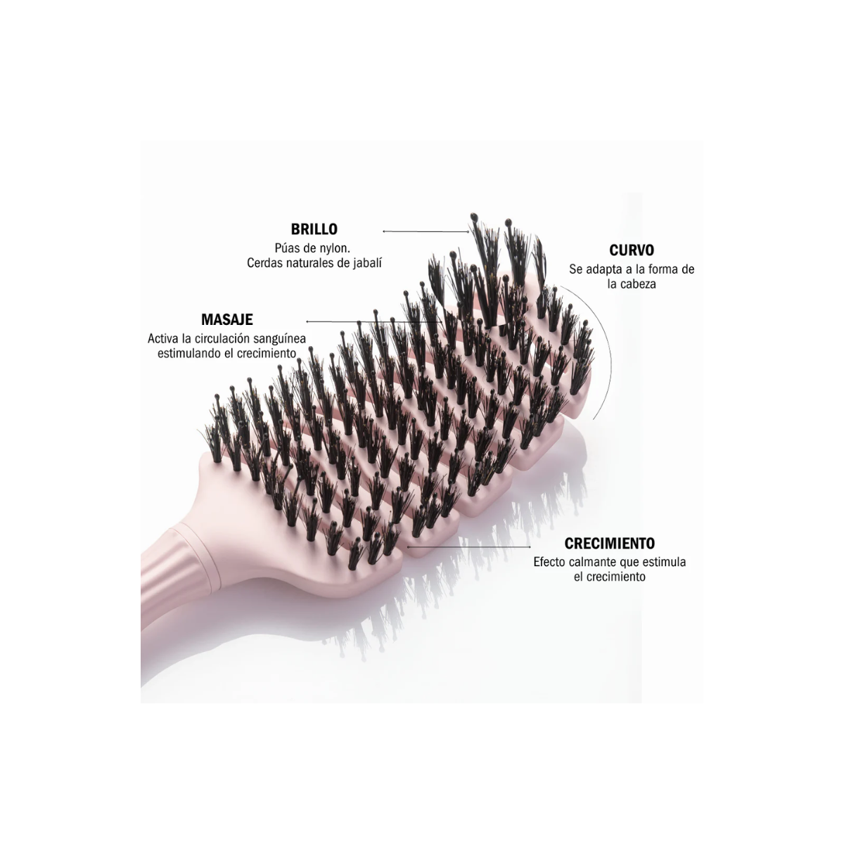 MONCHO MORENO MAGIC BRUSH ROSA